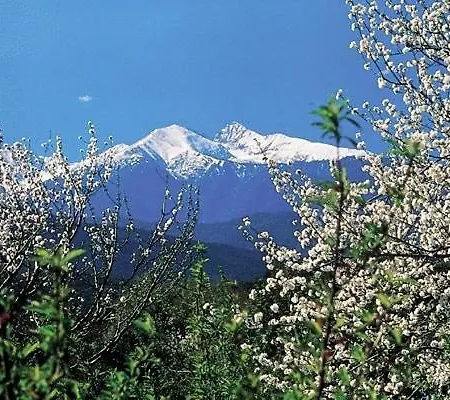 Apartment Mas Du Canigou - Flor De Lotus Los Masos